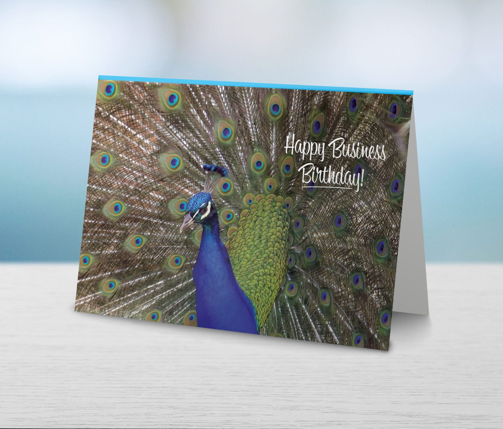 greetings card blank