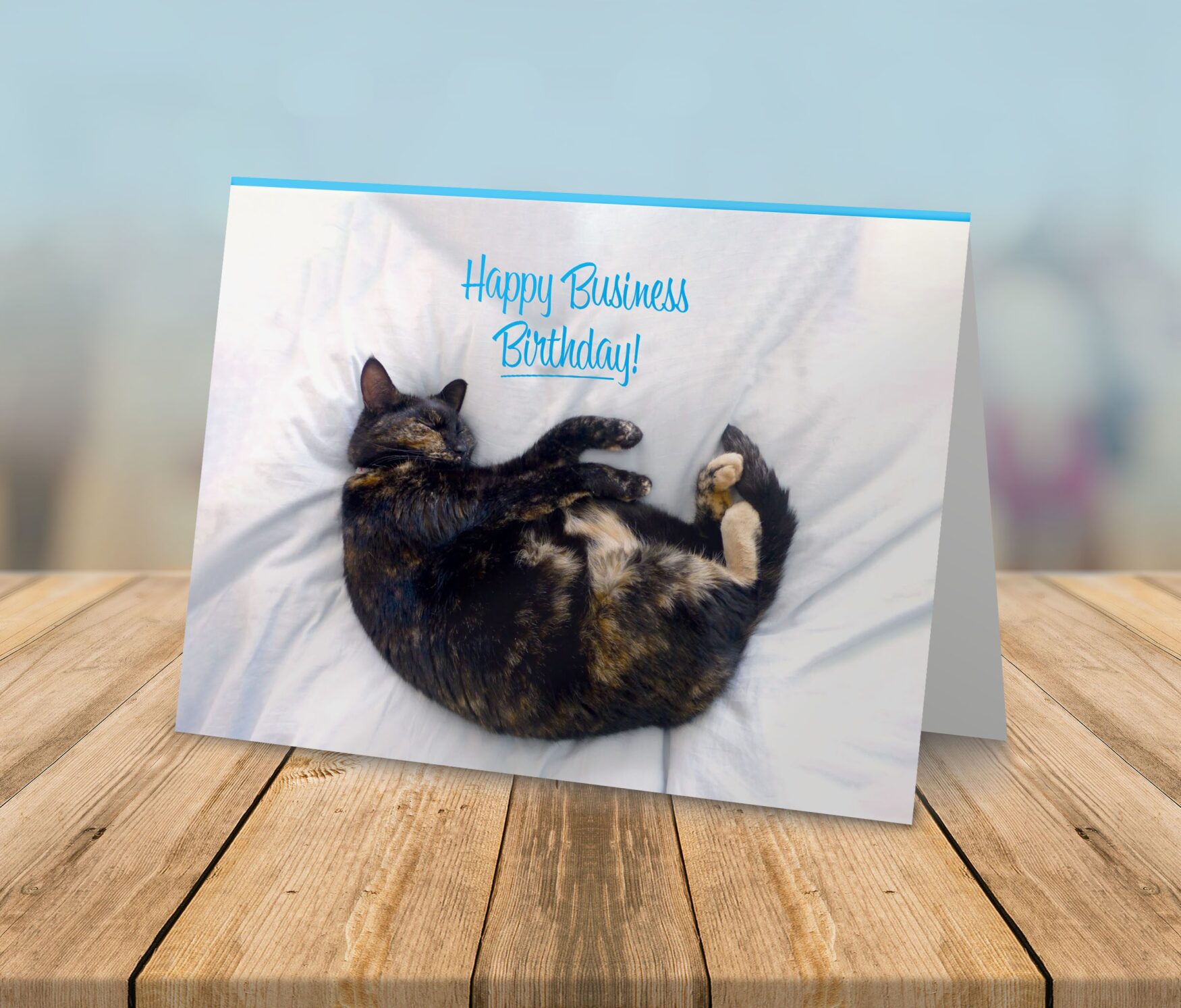 greetings card blank