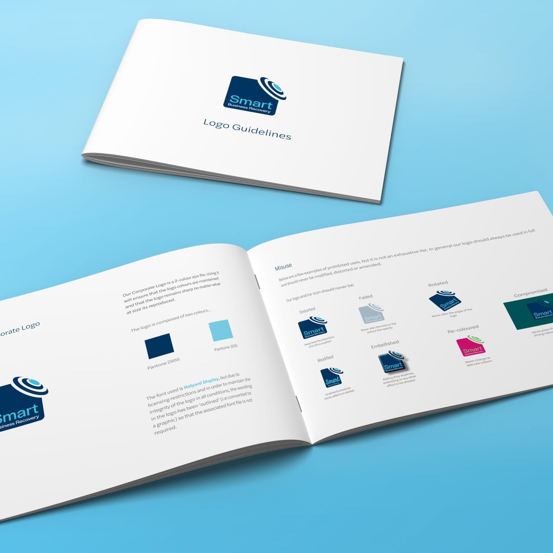 Logo Guidelines document for Smart Business Recovery